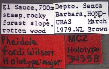 Media type: image;   Entomology 34358 Aspect: labels